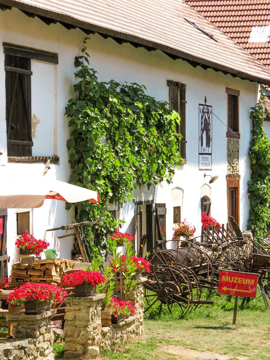 a white house with a lot of red flowers in front and a sign museum; the museum house in Holasovice UNESCO Czech Republic