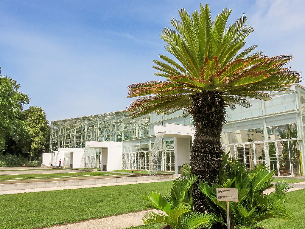 a tall palm tree in front of a building with glass walls, the Botanical Garden in Padua