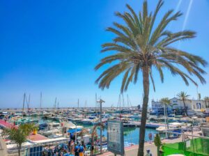 an yacht marina at the background and a single palm tree at the foreground in Marbella, Costa del Sol, Spain