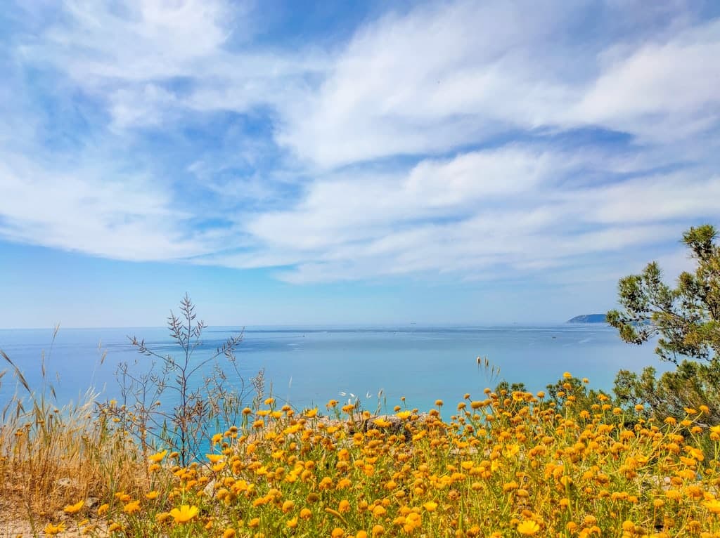 A scenic coastal landscape with a field of yellow flowers, dry grass, and a tree in the foreground. The calm blue sea and a clear, cloud-speckled sky fill the background. The Messenian Gulf from Koroni.